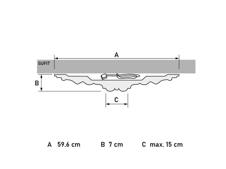 6_max_30.jpg